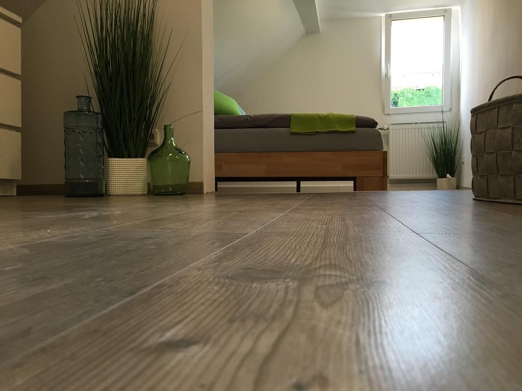 Ferienhaus Zur Mainpforte Mainz Eksteriør bilde