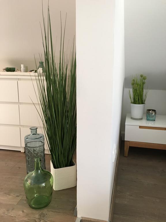 Ferienhaus Zur Mainpforte Mainz Eksteriør bilde