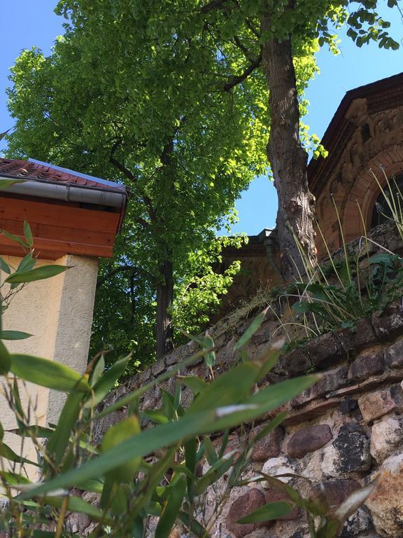 Ferienhaus Zur Mainpforte Mainz Eksteriør bilde