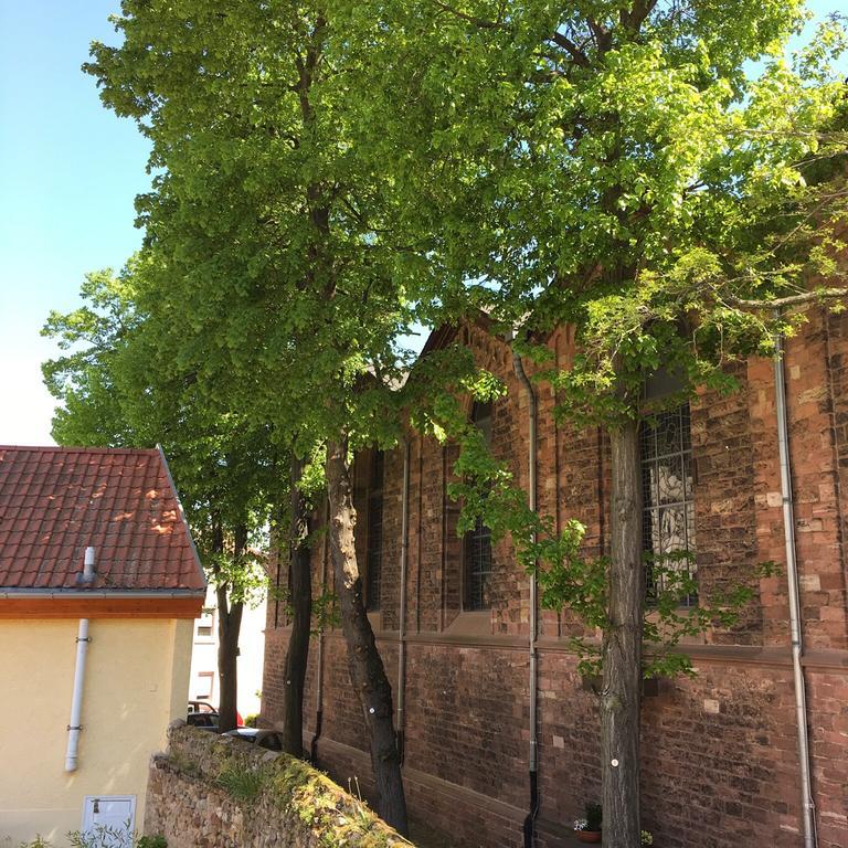 Ferienhaus Zur Mainpforte Mainz Eksteriør bilde